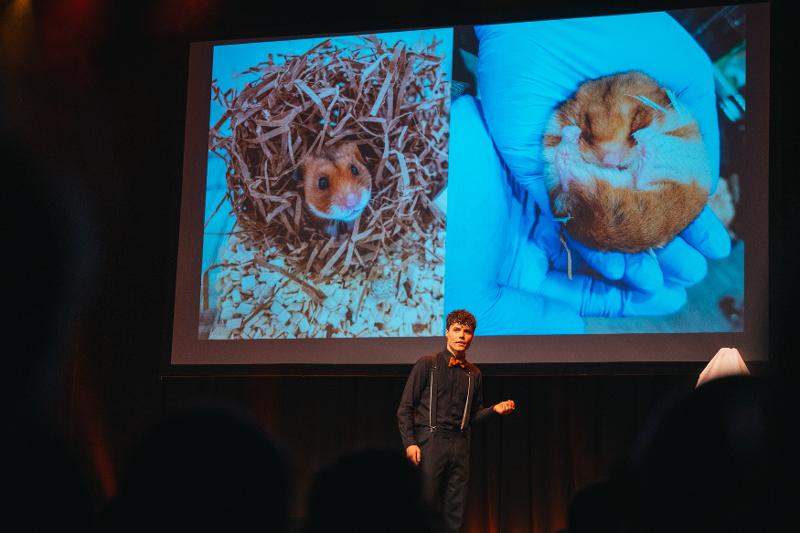 Mann foreleser med hamsterbildet i bakgrunnen